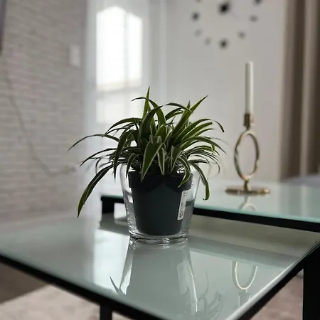 Ferienwohnung Ferlach Apartment
